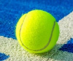 Pelota estándar